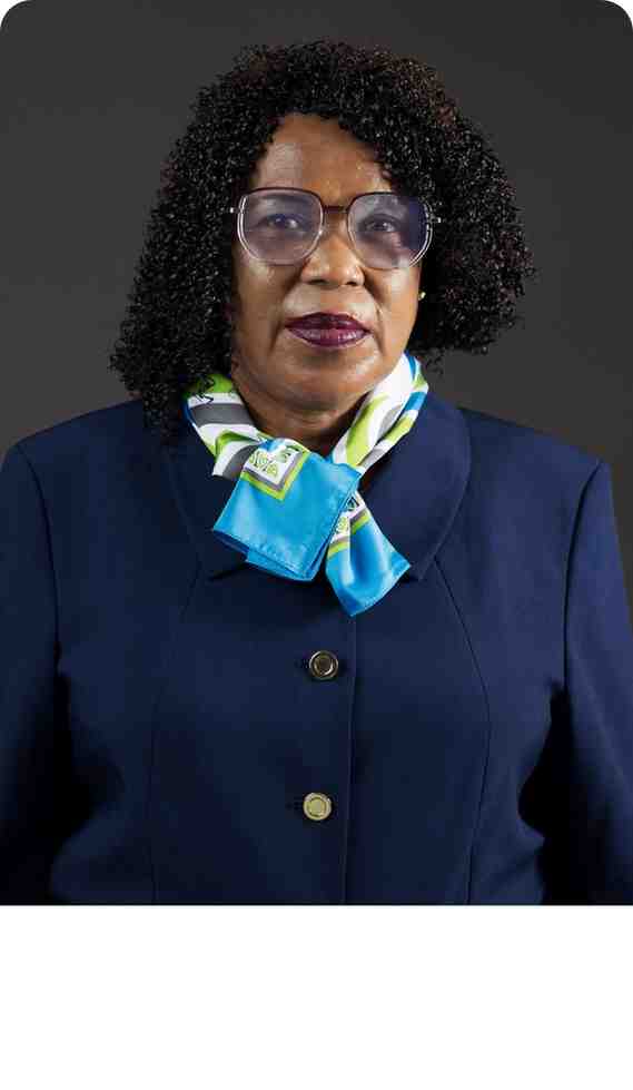 Joyce G Mapunjo