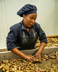 Mamba Ginger Company